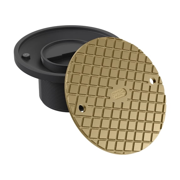 Proflo PF42816 6" Brass Cover