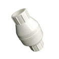 thumbnail image 1 of Proflo Pfpcvnk 2" Check Valve Part, 1 of 1