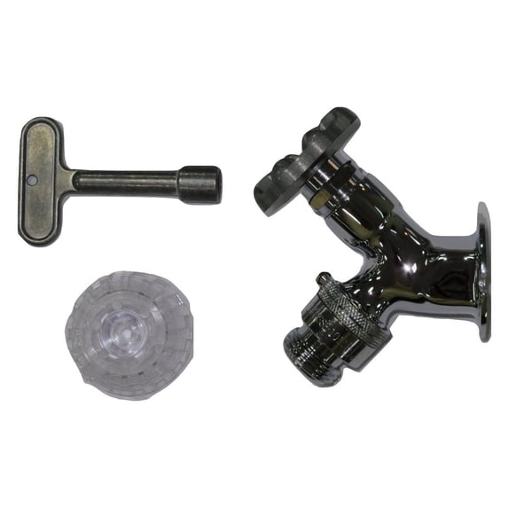 Proflo PFWFFCP 3/4" Fpt Inl Nf Area Wall Faucet - Chrome