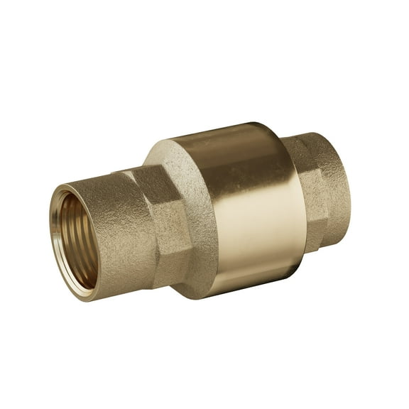 Proflo Pfxscvd 1/2" Spring Check Valve