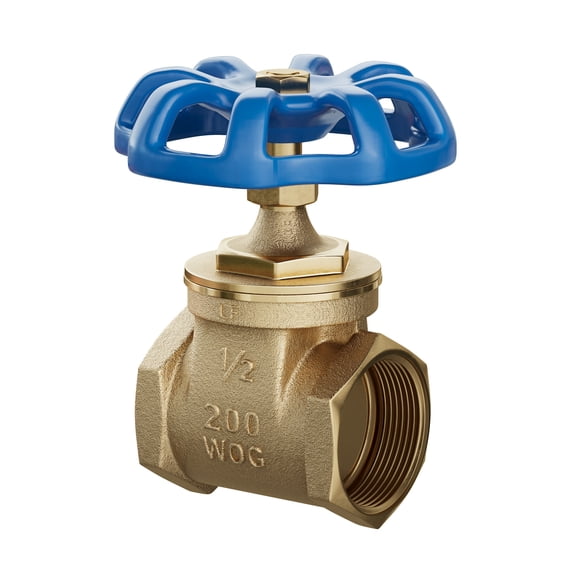 Proflo PFXT300K 2" Non Rising Stem Gate Valve