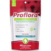 Proflora Probiotic Soft Chews for Dogs - Veterinary-Strength Daily Probiotic - Digestion Health - Boost Immune System - Skin and Coat Health - 60 Soft Chews