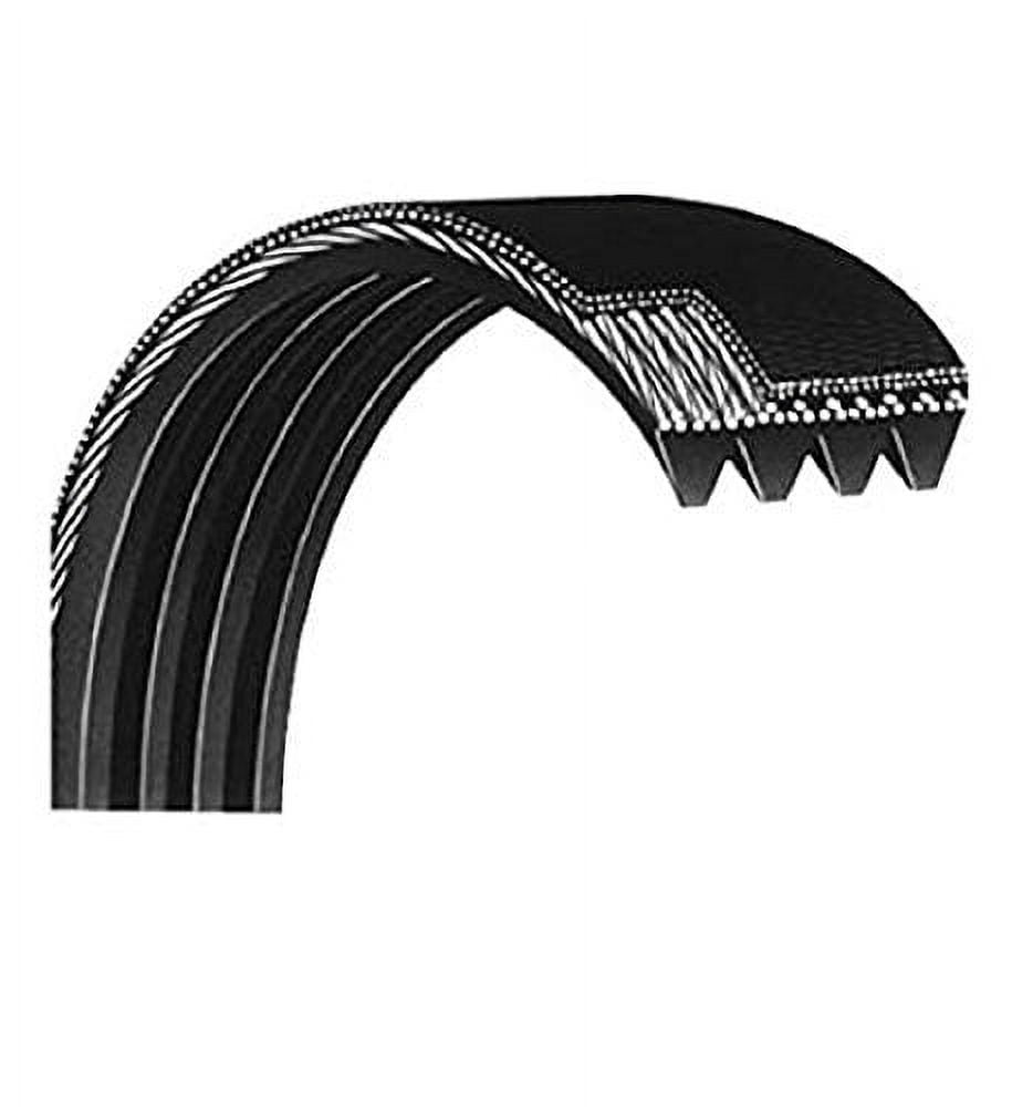 Life Fitness OEM Poly V Motor Drive Belt 14" - Replacement Treadmill Belt For Commercial Treadmills
