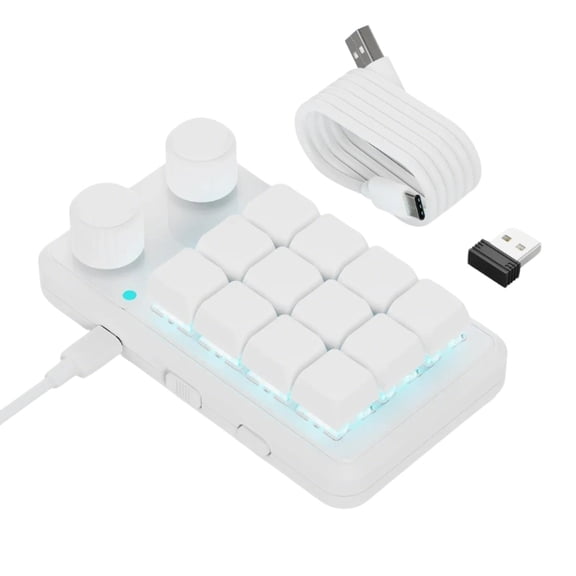 Programmable 12 Key Mini Mechanical Gaming Keypad with RGB Backlight and Dual Knobs, Wireless & USB C
