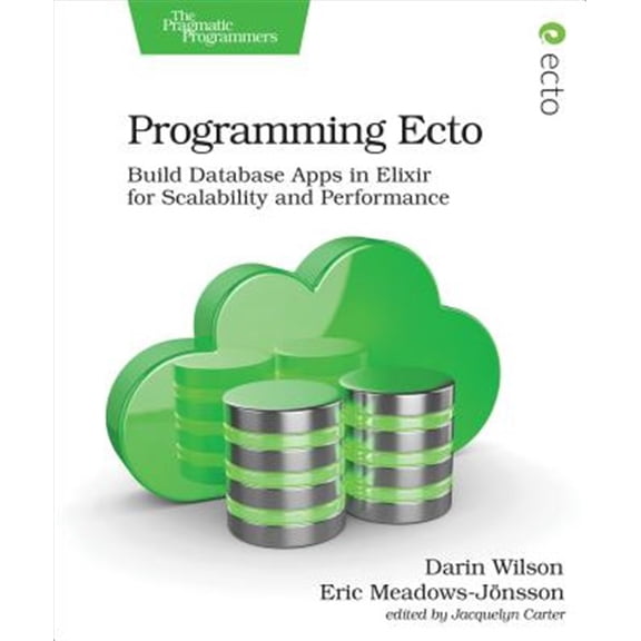 Pre-Owned Programming Ecto: Build Database Apps in Elixir for Scalability and Performance (Paperback)