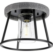 Progress Lighting Laramie 1-Light Flush Mount, Matte Black, Seeded Glass