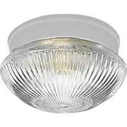 Progress Lighting - One Light Close-to-Ceiling - Close-to-Ceiling - Fitter -