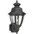 thumbnail image 1 of Non-Metallic Incandescent One-Light Wall Lantern, 1 of 8