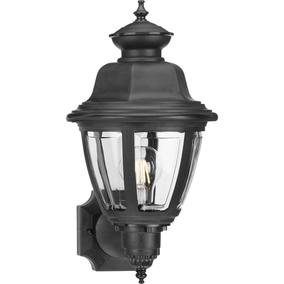 Non-Metallic Incandescent One-Light Wall Lantern