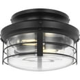 thumbnail image 1 of Progress Lighting Springer II 2-Light Ceiling Light, Matte Black, Open Cage, Antique Nickel Finish, Damp Rated, LED, 2700K, 1 of 9