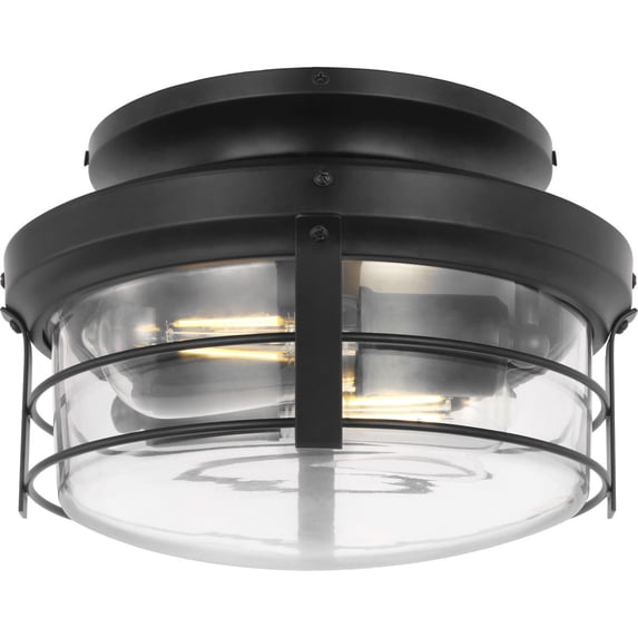 Progress Lighting Springer II 2-Light Ceiling Light, Matte Black, Open Cage, Antique Nickel Finish, Damp Rated, LED, 2700K