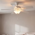 thumbnail image 1 of AirPro Collection Two-Light Ceiling Fan Light, 1 of 11
