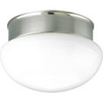 thumbnail image 1 of Progress Lighting P3410-13 2 Light Close-To-Ceiling Light Fixture Lamp Glass, Brushed Steel, 1 of 1