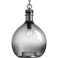 thumbnail image 1 of Progress Lighting Zin 1-Light Pendant, Graphite, Clear Glass Shade, 1 of 8