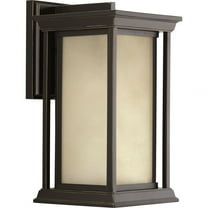 Progress Lighting P5610 Endicott Single Light 14-1/4" High Outdoor Wall Sconce with Clear Seeded Glass Shade