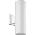 thumbnail image 1 of P5713-30-Progress Lighting-Cylinder - 14 Inch Height - Outdoor Light - 2 Light - TRUE - Line Voltage - Damp Rated-White Finish, 1 of 4