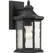 P6071-31-Progress Lighting-Edition - Outdoor Light - 1 Light in Transitional and Traditional style - 7.13 Inches wide by 12.5 Inches high-Textured