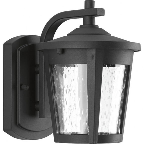 Progress Lighting East Haven 1-Light LED Outdoor Wall Lantern in Black with Clear Seeded Glass Shade