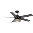 thumbnail image 1 of Schaal Collection 52 in. Five-Blade Matte Black Coastal Ceiling Fan with Integrated LED Light, 1 of 2