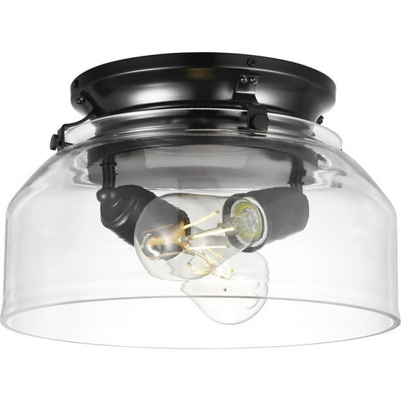 Progress Lighting, Springer Collection, 1-Light Ceiling Light, Matte Black, Clear Glass Shade