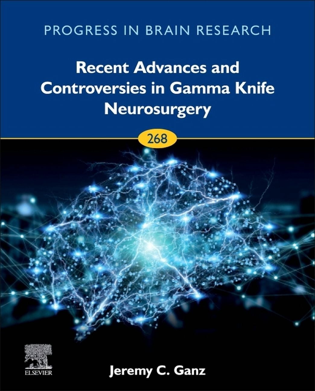 Progress in Brain Research Recent Advances and Controversies in Gamma ...