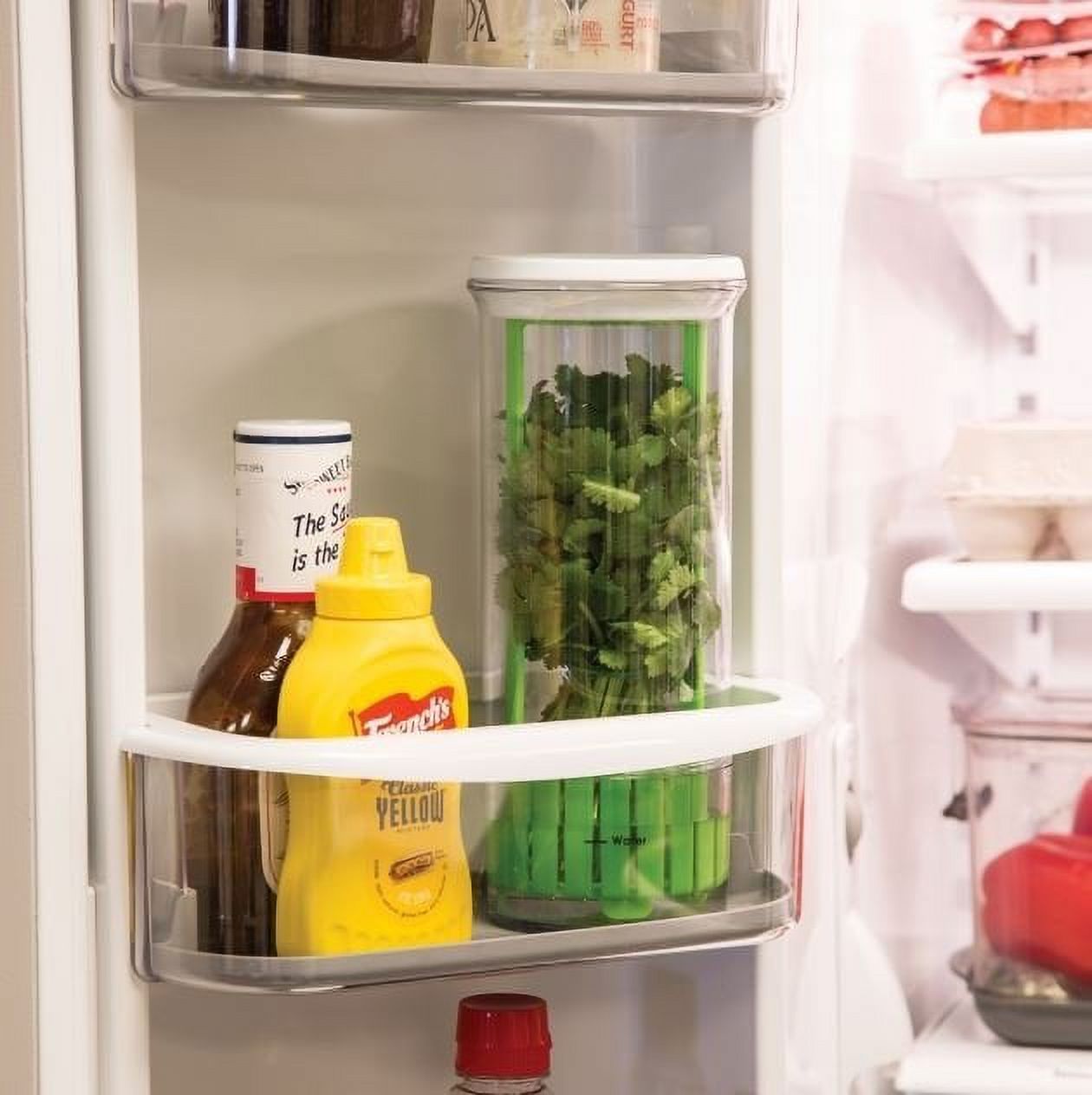 Progressive Furniture Prep Solutions Herb Keeper