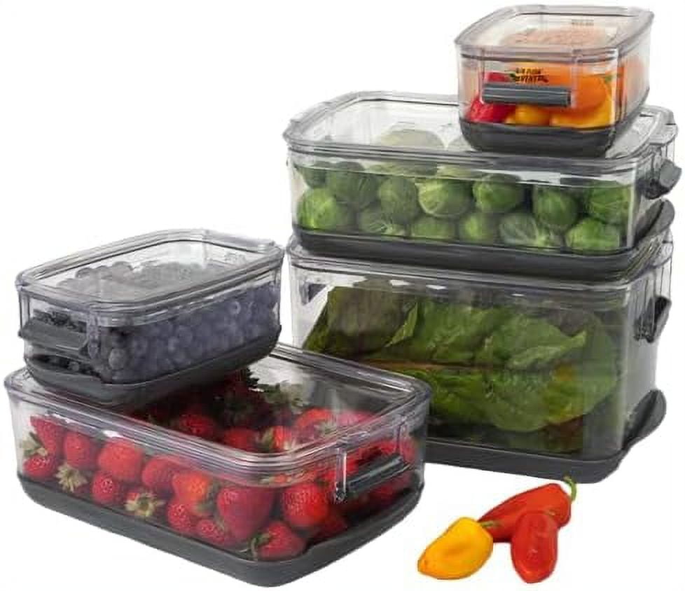 Progressive Prepworks ProKeeper 5Piece Set Airtight Food & Berry Storage Containers