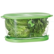 Progressive Prepworks Lettuce Keeper Food Storage , 4.7 Qt, Green Lid