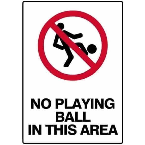 Prohibition No Playing Ball In Area Modern Metal Tin Sign, Public Space Plaque for Indoor Outdoor, Recreational Activity Ban Sign, 8x12 Inch