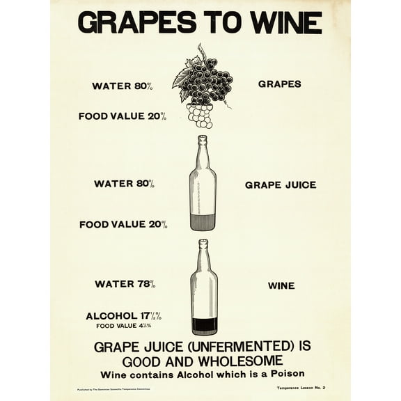 Prohibition Temperance Movement Alcohol Warning Grape Wine Ad Extra Large XL Wall Art Poster Print