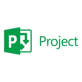 Project 2013 Standard 32/64-bit