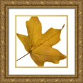 thumbnail image 1 of Project, A. 20x20 Gold Ornate Wood Framed with Double Matting Museum Art Print Titled - Leaf Inflorescence II, 1 of 4