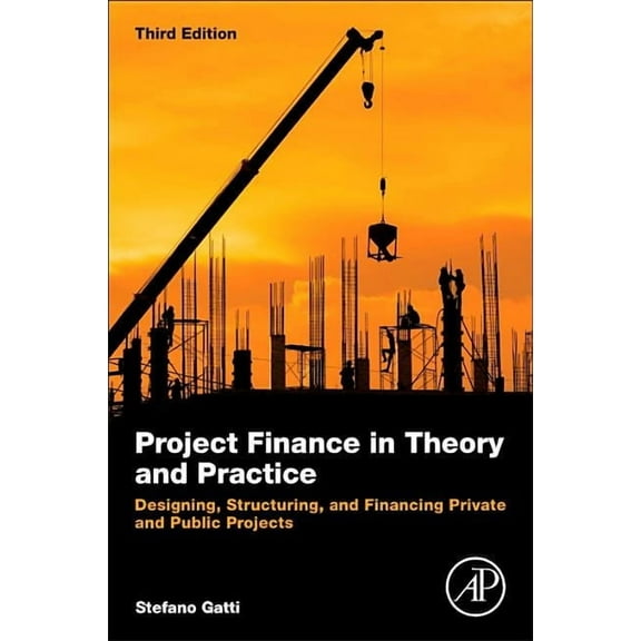 Project Finance in Theory and Practice: Designing, Structuring, and Financing Private and Public Projects, (Paperback)