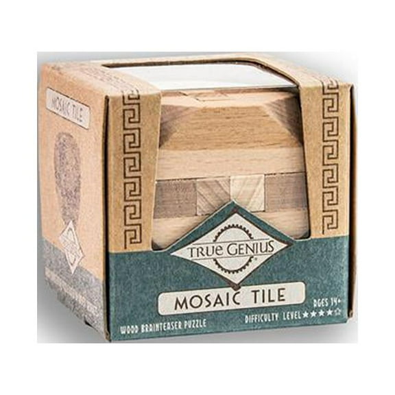 Project Genius TG010 Mosaic Tile Wooden Brain Teaser Puzzle