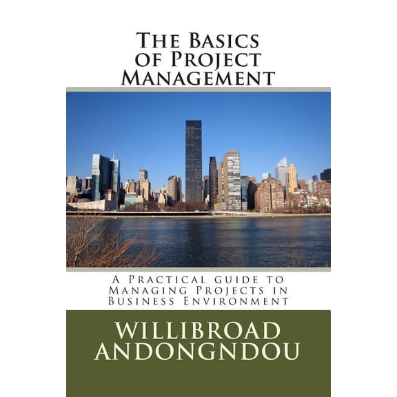 The Basics of Project Management: A Practical Guide to Managing Projects