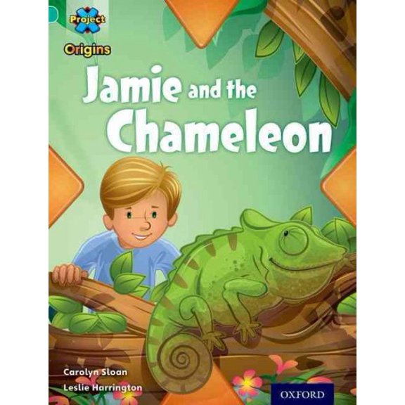 Pre-Owned Project X Origins: Turquoise Book Band, Oxford Level 7: Hide