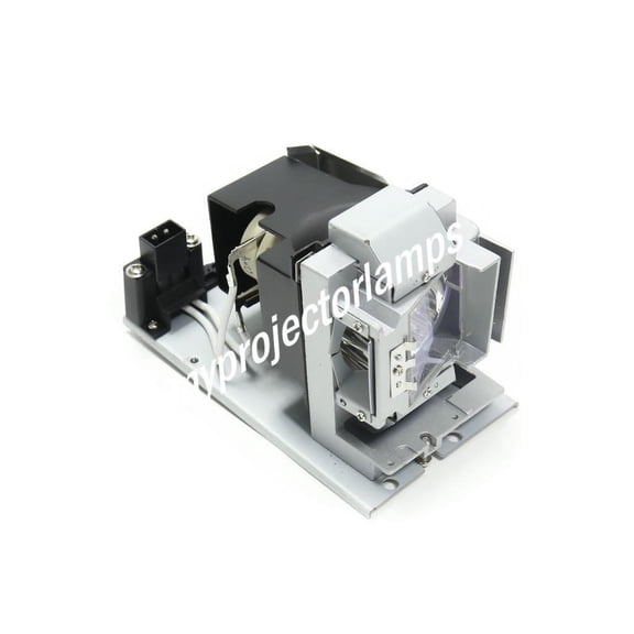 Projection Design F10 Projector Lamp with Module
