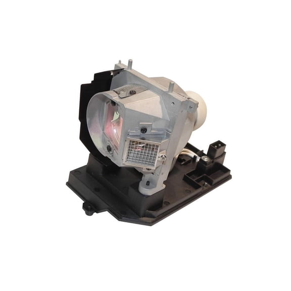 P Premium Power Products Replacement Projector Lamp Replaces NEC NP20LP-ER, 100% Compatible, 1 Count