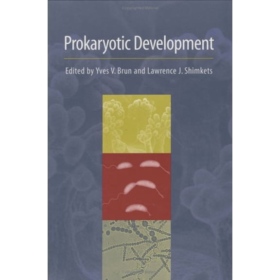 Pre-Owned Prokaryotic Development 9781555811587 Used