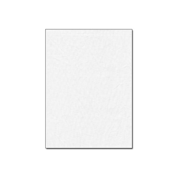 Promaster - Background - cotton / polyester - 10 ft x 11.8 ft - white