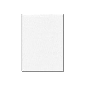 Promaster - Background - cotton / polyester - 10 ft x 11.8 ft - white
