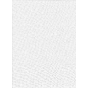 Promaster SystemPRO Solid Muslin Studio Backdrop - 10x20' - White