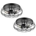 thumbnail image 1 of Prominence Home 2 Pack Lincoln Woods 15" Flush Ceiling Mount Light with Cage, Black, 1 of 8