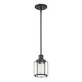 thumbnail image 1 of Prominence Home Lincoln Woods Industrial Matte Black LED Pendant Light with Clear Glass Shade, 1 of 9