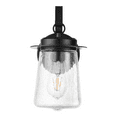 thumbnail image 1 of Prominence Home Ruttland Matte Black Coach Light with Clear Seeded Glass, 1 of 6