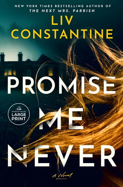 Promise Me Never, (Paperback)