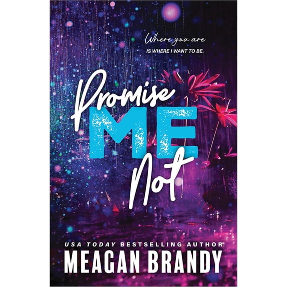 Promise Me Not (Paperback)