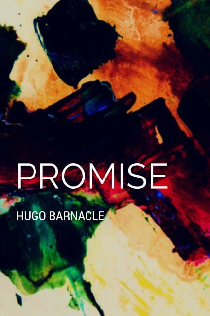 Promise (Paperback)