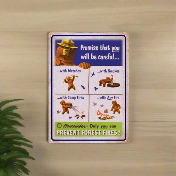 Promise You Will Be Careful Metal Sign Inspirational Safety Wall Decor Tin Sign, Size 8x12