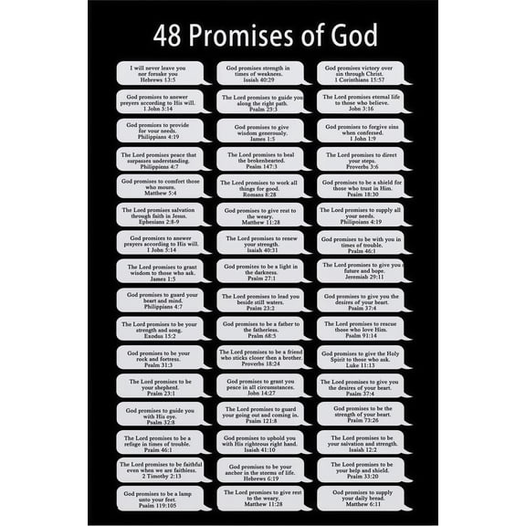 Promises of God Scripture Chart faith bible visual guide wall chart poster